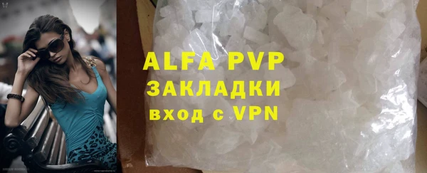 крисы Богородицк