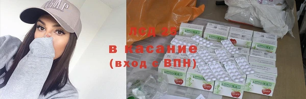 крисы Богородицк