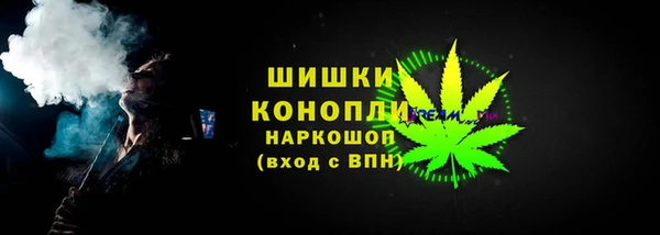 крисы Богородицк
