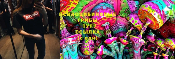 крисы Богородицк