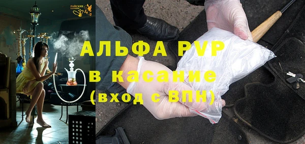 крисы Богородицк