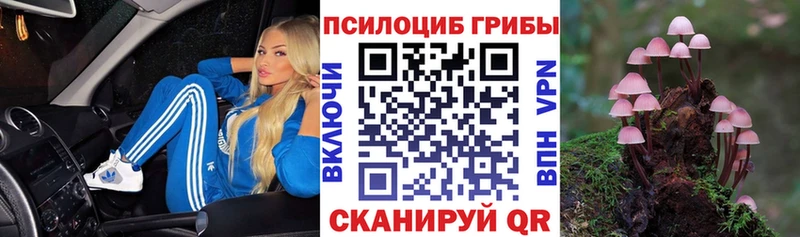 Псилоцибиновые грибы Psilocybe  Горячий Ключ 